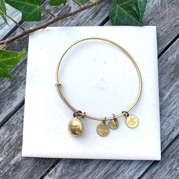 Alex and Ani – August Birthstone Bangle Swarovski Peridot – Russian Gold Finish - Picture 2 of 2